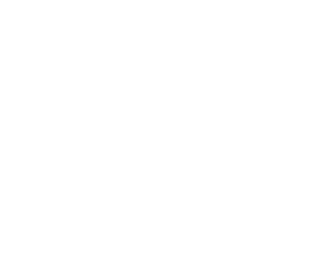 icon of transcript